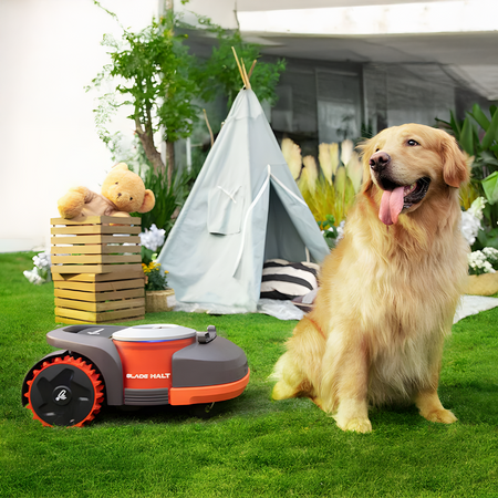 Robot koszący Segway Navimow H500E-VF